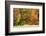 USA, Vermont, Morrisville. Lyle McKee Road, fall foliage-Alison Jones-Framed Photographic Print