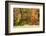 USA, Vermont, Morrisville. Lyle McKee Road, fall foliage-Alison Jones-Framed Photographic Print