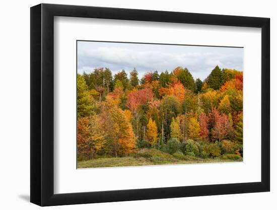 USA, Vermont, Morrisville, Stagecoach Road, fall foliage-Alison Jones-Framed Photographic Print