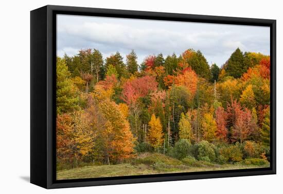USA, Vermont, Morrisville, Stagecoach Road, fall foliage-Alison Jones-Framed Premier Image Canvas