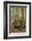 USA, Vermont, Morrisville. Sterling Forest, tree with roots spread over lichen covered rocks-Alison Jones-Framed Photographic Print