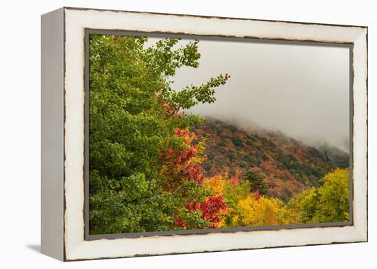 USA, Vermont, New England, Stowe Mt. Mansfield parking lot view with fog on mountains-Alison Jones-Framed Premier Image Canvas