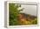 USA, Vermont, New England, Stowe Mt. Mansfield parking lot view with fog on mountains-Alison Jones-Framed Premier Image Canvas