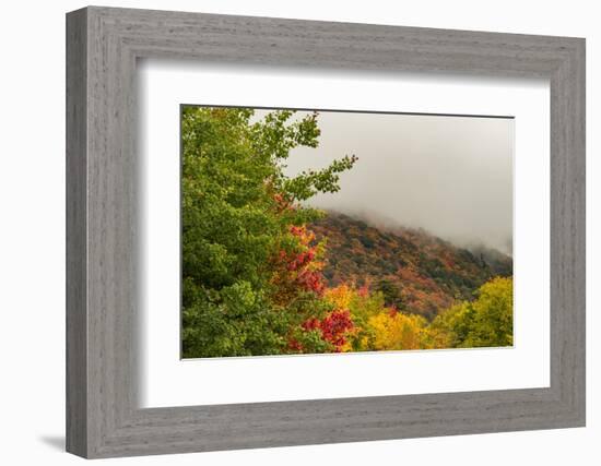 USA, Vermont, New England, Stowe Mt. Mansfield parking lot view with fog on mountains-Alison Jones-Framed Photographic Print