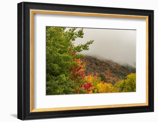 USA, Vermont, New England, Stowe Mt. Mansfield parking lot view with fog on mountains-Alison Jones-Framed Photographic Print