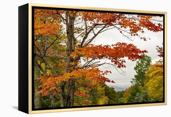 USA, Vermont, New England, Stowe Mt. Mansfield parking lot view-Alison Jones-Framed Premier Image Canvas