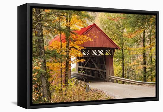 USA, Vermont, Stowe, Sterling Valley Road covered bridge in fall foliage-Alison Jones-Framed Premier Image Canvas