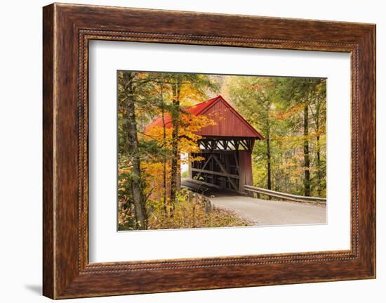 USA, Vermont, Stowe, Sterling Valley Road covered bridge in fall foliage-Alison Jones-Framed Photographic Print