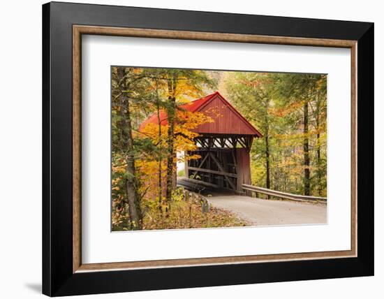 USA, Vermont, Stowe, Sterling Valley Road covered bridge in fall foliage-Alison Jones-Framed Photographic Print