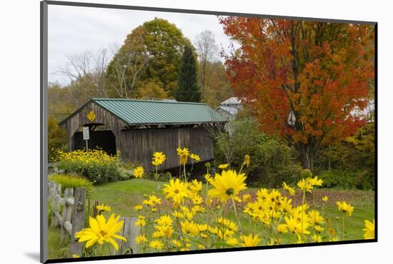 USA, Vermont, Waterville. Church Street Covered Bridge in Fall-Bill Bachmann-Mounted Photographic Print