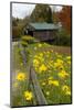 USA, Vermont, Waterville. Church Street Covered Bridge in Fall-Bill Bachmann-Mounted Photographic Print