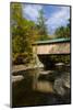 USA, Vermont, Waterville. Montgomery Covered Bridge with Fall Foliage-Bill Bachmann-Mounted Photographic Print