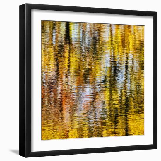USA, Virginia, Blue Ridge Parkway. Abstract autumn reflections in Rakes Mill Pond-Ann Collins-Framed Photographic Print