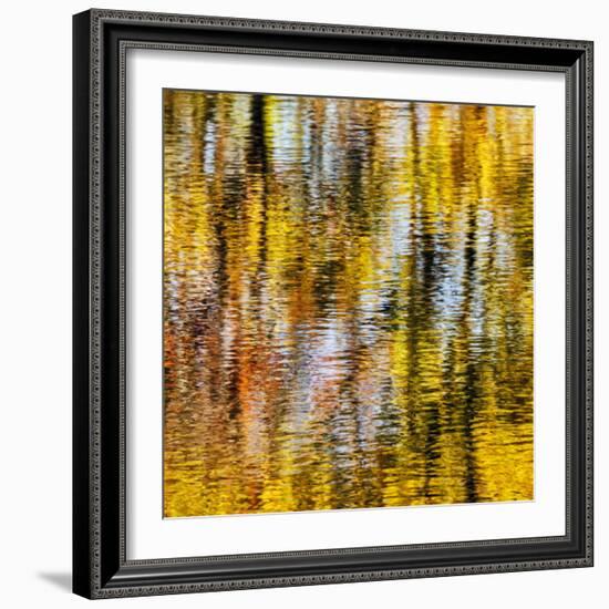 USA, Virginia, Blue Ridge Parkway. Abstract autumn reflections in Rakes Mill Pond-Ann Collins-Framed Photographic Print