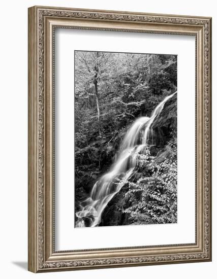 USA, Virginia, Blue Ridge Parkway. George Washington National Forest, Autumn at Crabtree Falls-Ann Collins-Framed Photographic Print