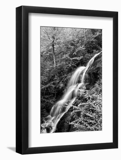 USA, Virginia, Blue Ridge Parkway. George Washington National Forest, Autumn at Crabtree Falls-Ann Collins-Framed Photographic Print