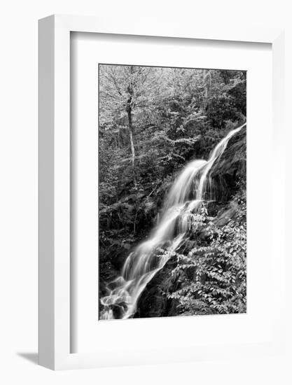 USA, Virginia, Blue Ridge Parkway. George Washington National Forest, Autumn at Crabtree Falls-Ann Collins-Framed Photographic Print