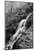 USA, Virginia, Blue Ridge Parkway. George Washington National Forest, Autumn at Crabtree Falls-Ann Collins-Mounted Photographic Print