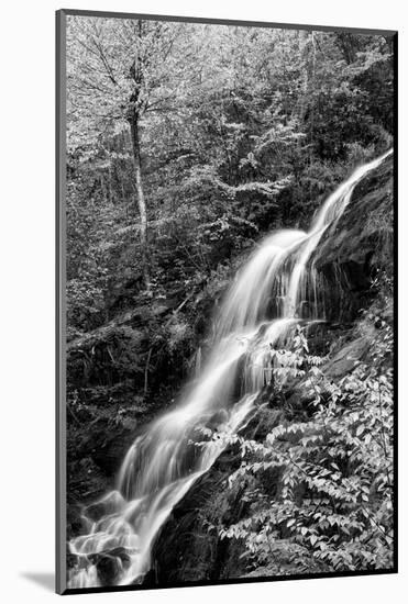 USA, Virginia, Blue Ridge Parkway. George Washington National Forest, Autumn at Crabtree Falls-Ann Collins-Mounted Photographic Print