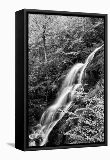 USA, Virginia, Blue Ridge Parkway. George Washington National Forest, Autumn at Crabtree Falls-Ann Collins-Framed Premier Image Canvas