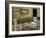 USA, Virginia, Mabry Mill. Checkers Board on Barrel-Don Paulson-Framed Photographic Print