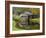 USA, Virginia, Mabry Mill. Composite of Mill and Pond-Don Paulson-Framed Photographic Print