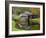 USA, Virginia, Mabry Mill. Composite of Mill and Pond-Don Paulson-Framed Photographic Print