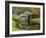 USA, Virginia, Mabry Mill. Composite of Mill and Pond-Don Paulson-Framed Photographic Print