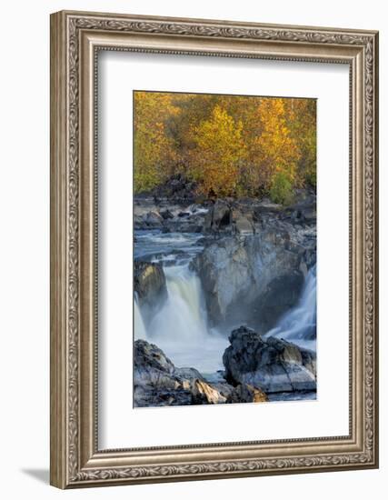 USA, Virginia, Mclean. Stream in Great Falls State Park-Jay O'brien-Framed Photographic Print