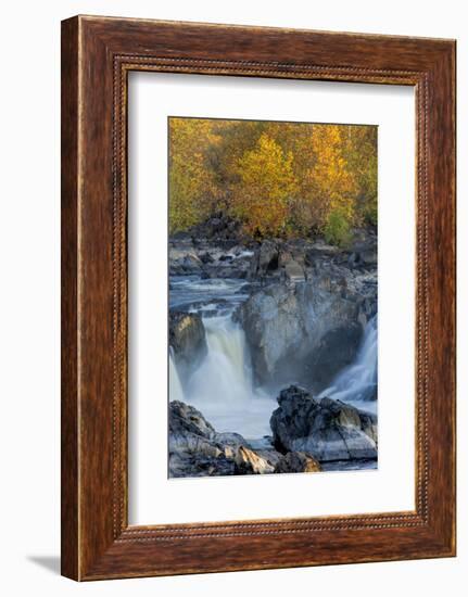 USA, Virginia, Mclean. Stream in Great Falls State Park-Jay O'brien-Framed Photographic Print