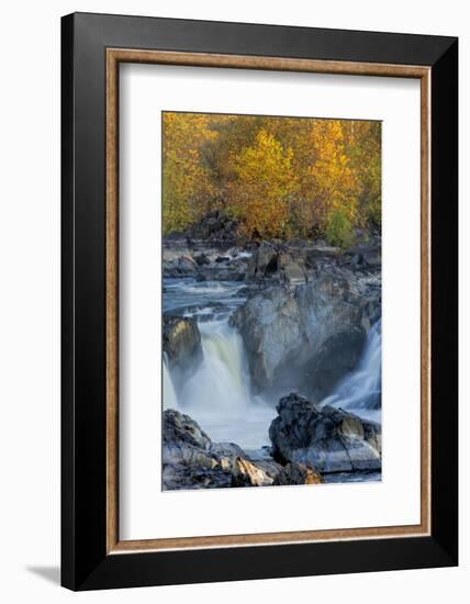 USA, Virginia, Mclean. Stream in Great Falls State Park-Jay O'brien-Framed Photographic Print