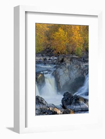 USA, Virginia, Mclean. Stream in Great Falls State Park-Jay O'brien-Framed Photographic Print