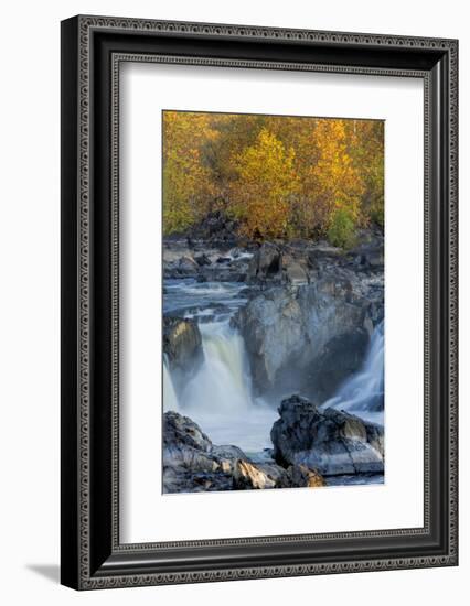 USA, Virginia, Mclean. Stream in Great Falls State Park-Jay O'brien-Framed Photographic Print