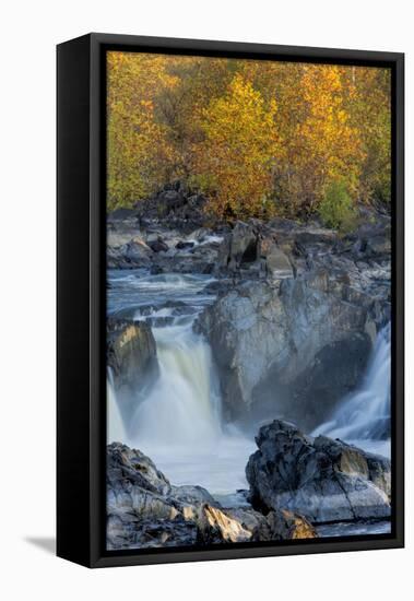 USA, Virginia, Mclean. Stream in Great Falls State Park-Jay O'brien-Framed Premier Image Canvas