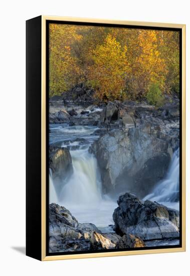 USA, Virginia, Mclean. Stream in Great Falls State Park-Jay O'brien-Framed Premier Image Canvas