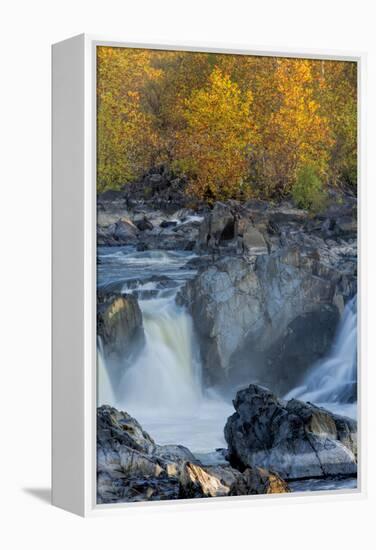 USA, Virginia, Mclean. Stream in Great Falls State Park-Jay O'brien-Framed Premier Image Canvas