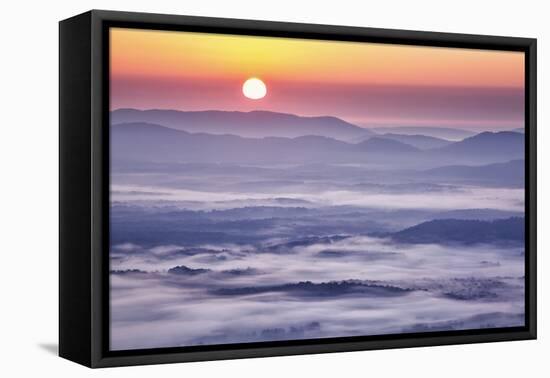 USA, Virginia, Rockfish Valley. Fog at sunrise along the Blue Ridge Parkway-Ann Collins-Framed Premier Image Canvas