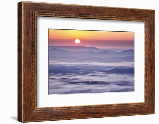 USA, Virginia, Rockfish Valley. Fog at sunrise along the Blue Ridge Parkway-Ann Collins-Framed Photographic Print
