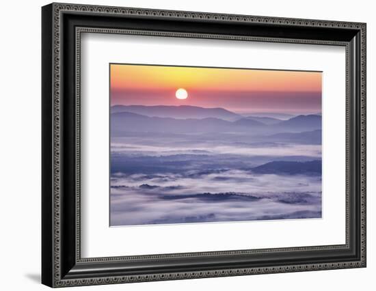 USA, Virginia, Rockfish Valley. Fog at sunrise along the Blue Ridge Parkway-Ann Collins-Framed Photographic Print