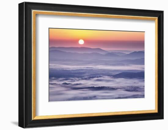 USA, Virginia, Rockfish Valley. Fog at sunrise along the Blue Ridge Parkway-Ann Collins-Framed Photographic Print