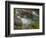 USA, Virginia, waterfall on Potomac River, Great Falls National Park-Howie Garber-Framed Photographic Print