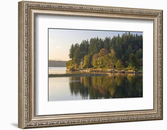 USA, WA. Fletcher Bay, Bainbridge Island. Beginnings of Fall Color-Trish Drury-Framed Photographic Print