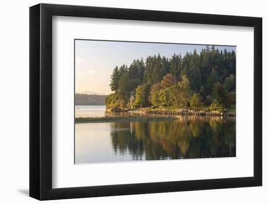 USA, WA. Fletcher Bay, Bainbridge Island. Beginnings of Fall Color-Trish Drury-Framed Photographic Print