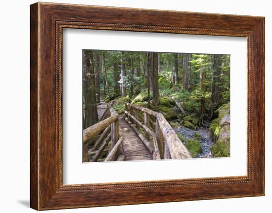 USA, WA, Olympic Mountains. Bridge over Lena Creek. Lena Lake trail Olympic National Forest.-Trish Drury-Framed Photographic Print