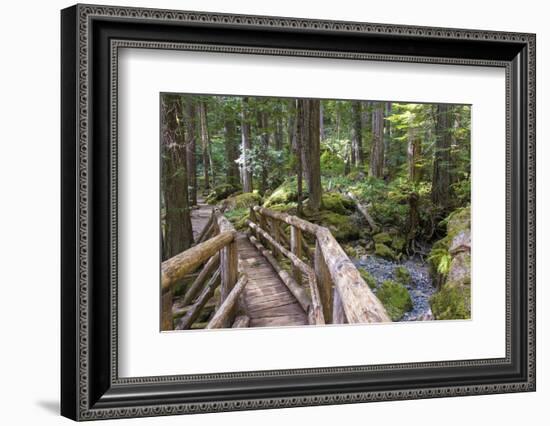 USA, WA, Olympic Mountains. Bridge over Lena Creek. Lena Lake trail Olympic National Forest.-Trish Drury-Framed Photographic Print