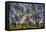 USA, WA, Walla Walla. Pioneer Park Gazebo-Brent Bergherm-Framed Premier Image Canvas