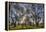 USA, WA, Walla Walla. Pioneer Park Gazebo-Brent Bergherm-Framed Premier Image Canvas