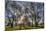 USA, WA, Walla Walla. Pioneer Park Gazebo-Brent Bergherm-Mounted Photographic Print