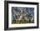 USA, WA, Walla Walla. Pioneer Park Gazebo-Brent Bergherm-Framed Photographic Print