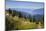 USA, Washington. Backpackers on Cowlitz Divide of Wonderland Trail-Gary Luhm-Mounted Photographic Print